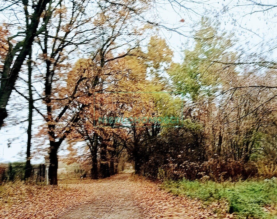 Działka budowlana na sprzedaż Milanówek  1 300m2 Foto 5