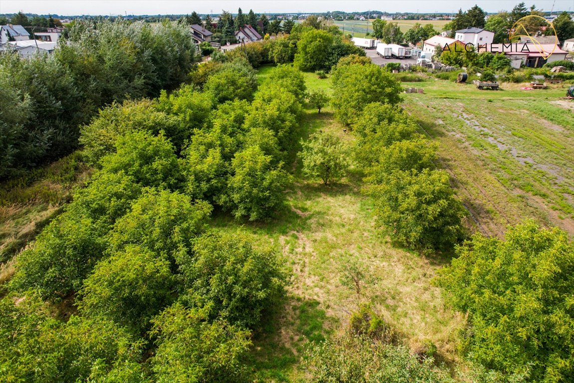 Działka budowlana na sprzedaż Babice Nowe, Dolna  5 683m2 Foto 12