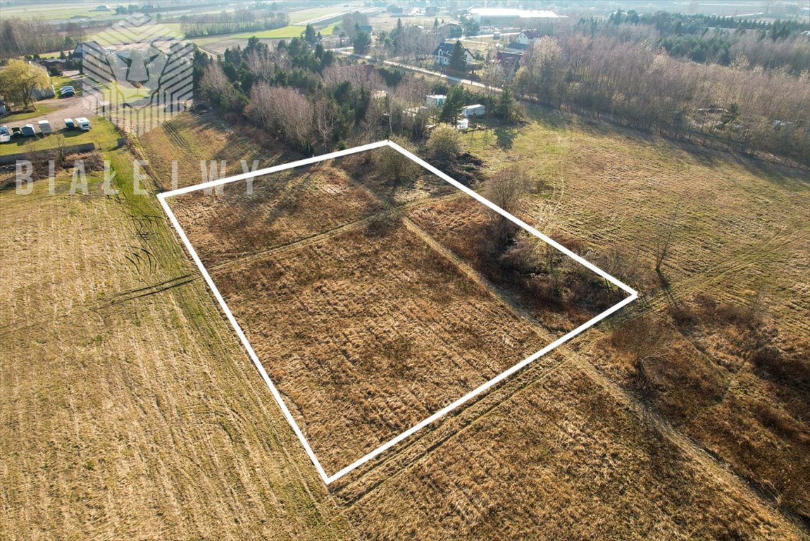 Działka budowlana na sprzedaż Wilcza Góra, Gwiaździsta  1 160m2 Foto 1