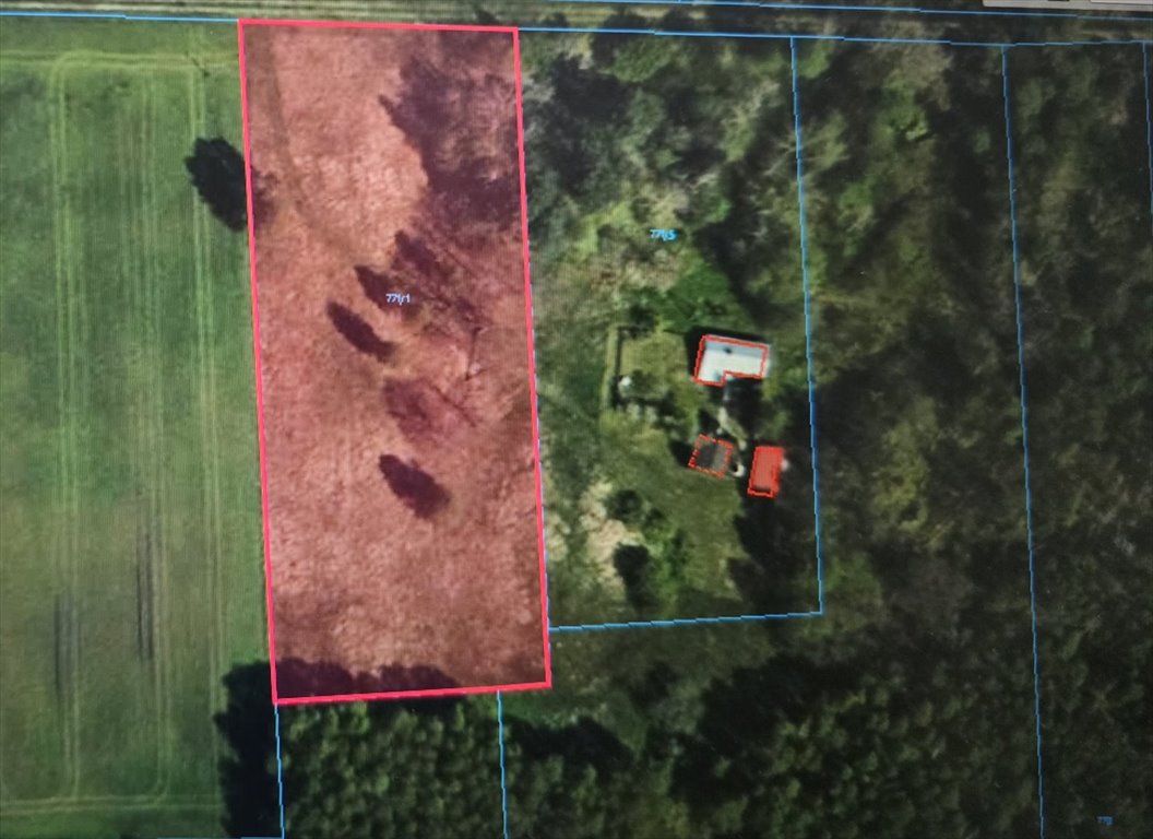 Duża działka rolno-leśna 64 848 m² z możliwością inwestycji Zborów  64 848m2 Foto 1