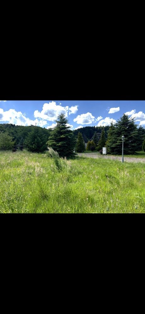 Działka budowlana na sprzedaż Lesko, Lesko  3 000m2 Foto 6