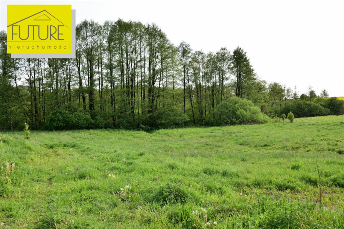 Działka pod rekreację z warunkami zabudowy, 3195 m² Liksajny  3 195m2 Foto 1