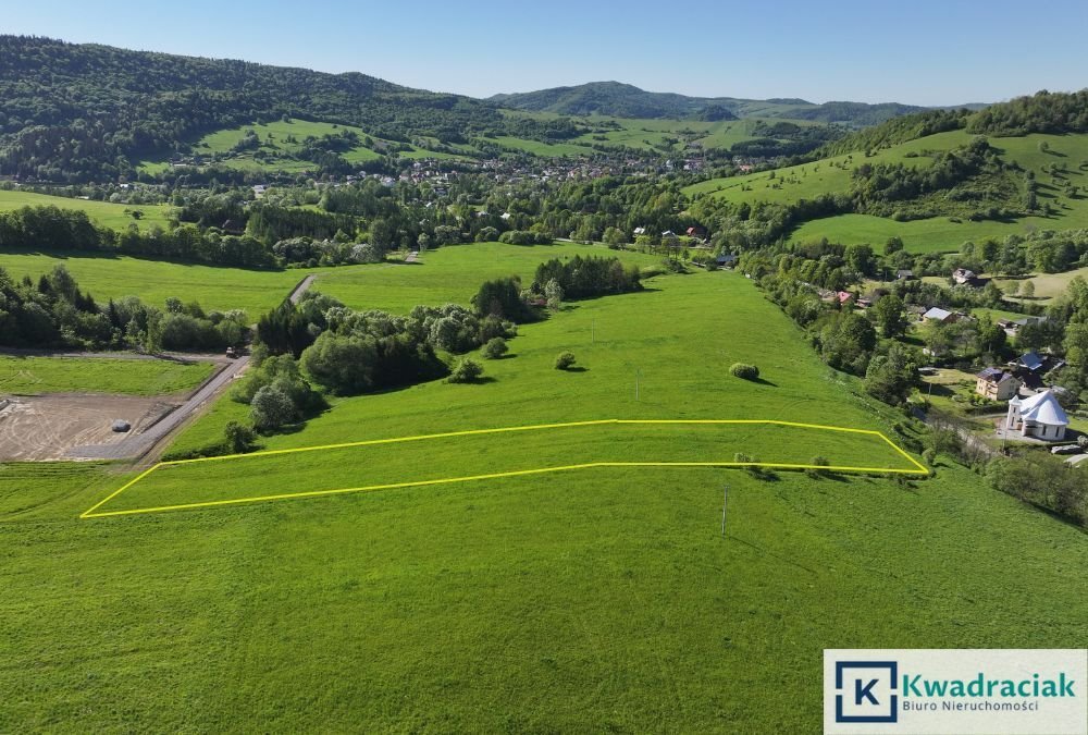 Działka inwestycyjna na sprzedaż Stężnica  7 000m2 Foto 9