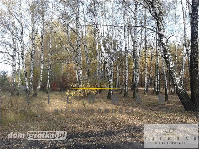 Działka leśna 9 761 m² w Łodzi - z możliwością podłączenia mediów Łódź, Bałuty  9 761m2 Foto 1