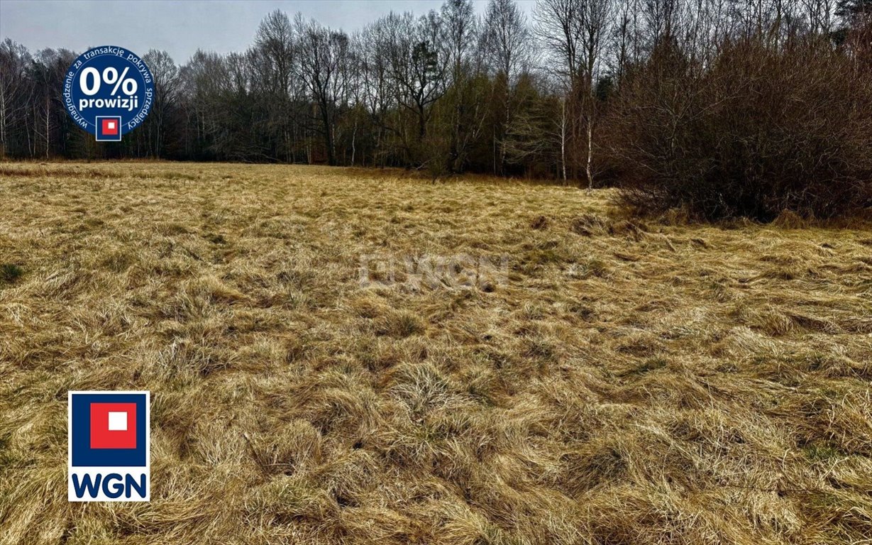Zapraszam do zakupu działki rekreacyjnej 3857 m² w Machowinku Machowinko, Machowinko  3 857m2 Foto 1