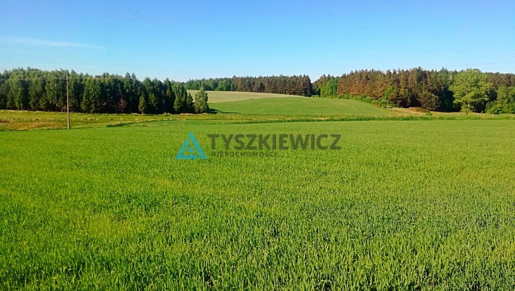 Działka budowlana na sprzedaż Lewinko, Lipowa  1 154m2 Foto 12