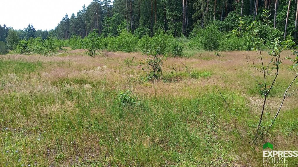 Działka budowlana na sprzedaż Niewodnica Korycka  826m2 Foto 2