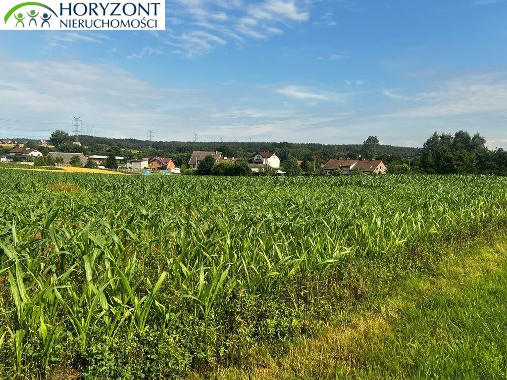 Działka 3000 m² z mediami, w trakcie warunków zabudowy polecam Niestępowo  3 000m2 Foto 1