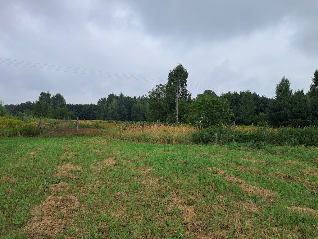 Działka 12 400 m² pod zabudowę jednorodzinną w Opolu Lubelskim Opole Lubelskie, Zagrody  12 400m2 Foto 1
