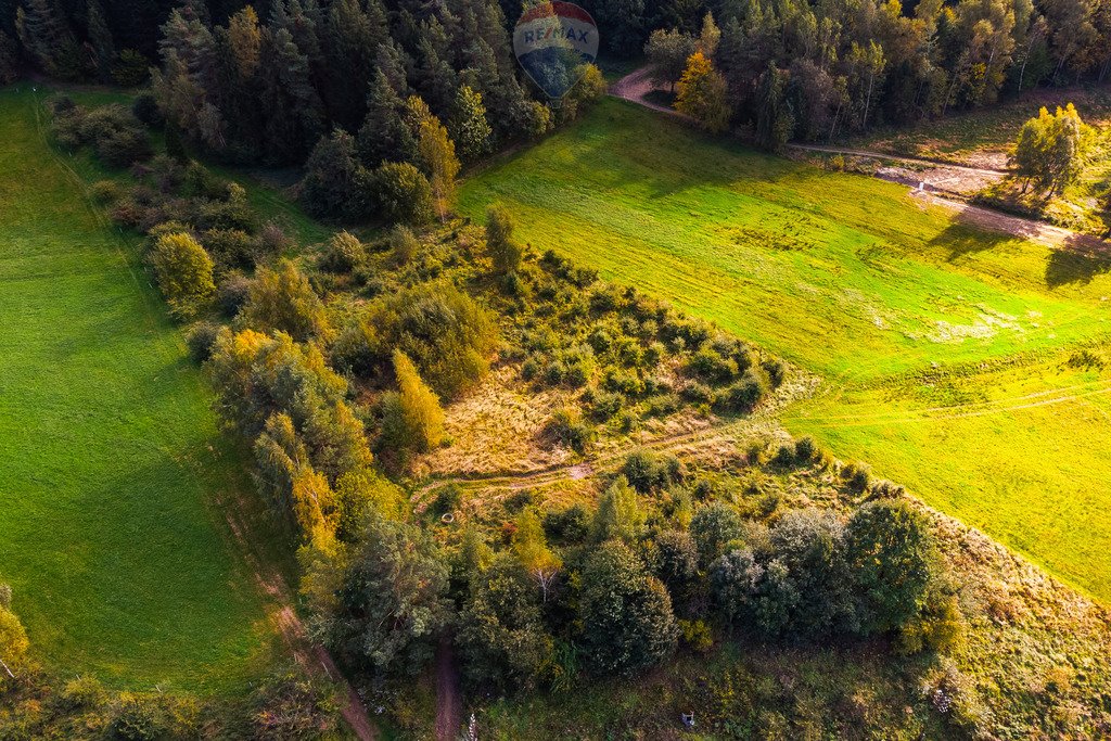 Działka budowlana na sprzedaż Kasina Wielka  5 398m2 Foto 10