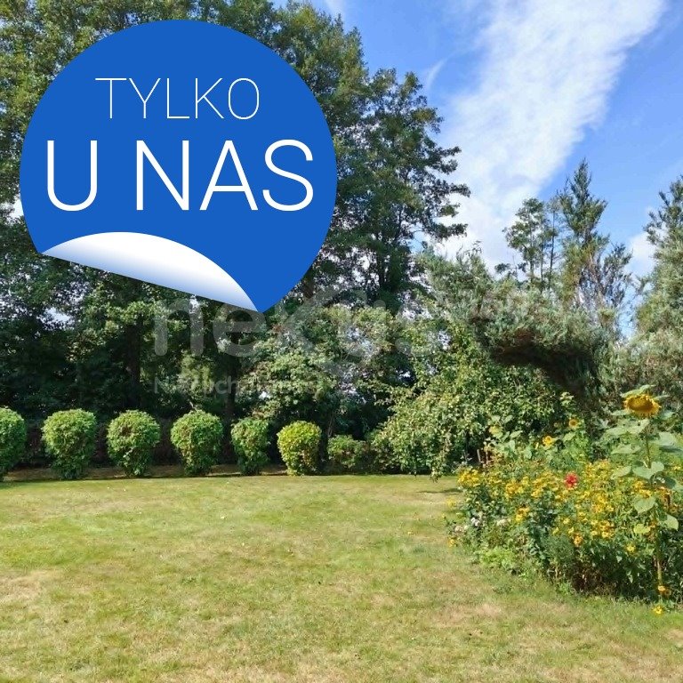 Zdjęcie 6