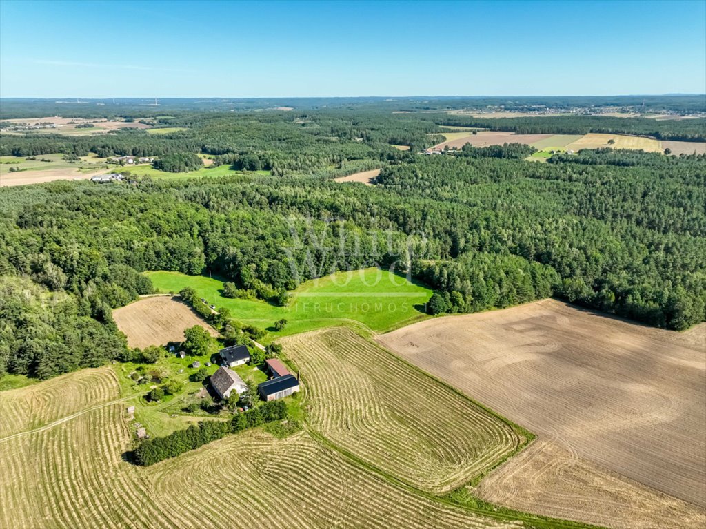 Działka rolna na sprzedaż Kętrzyno  453 100m2 Foto 2