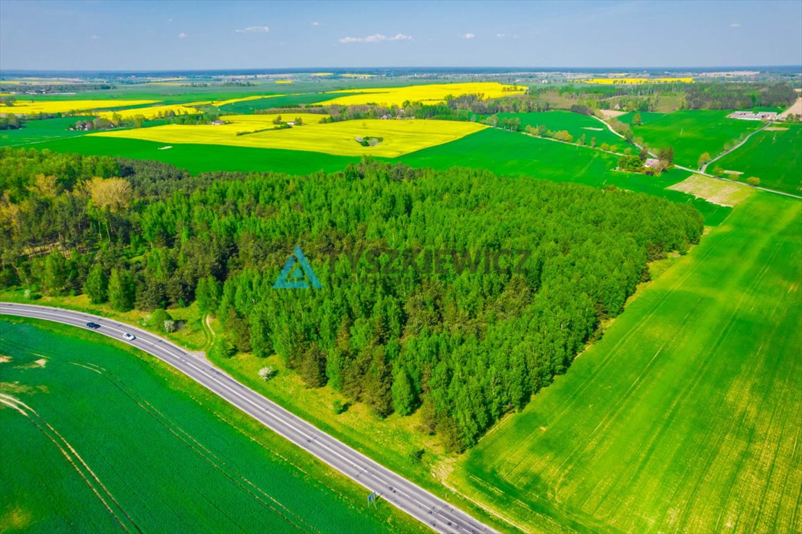 Działka rolna na sprzedaż Bladowo  78 200m2 Foto 3