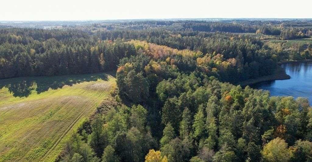 Działka rolna na sprzedaż Ramsowo  3 136m2 Foto 13