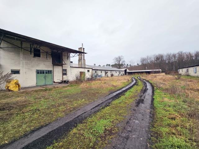 Lokal użytkowy na sprzedaż Wolsztyn, Kiełpińska  1 200m2 Foto 2