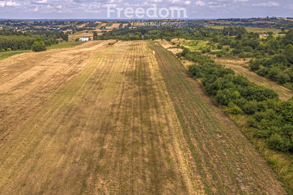 Działka rolna na sprzedaż Siemonia, Kościuszki  17 300m2 Foto 19