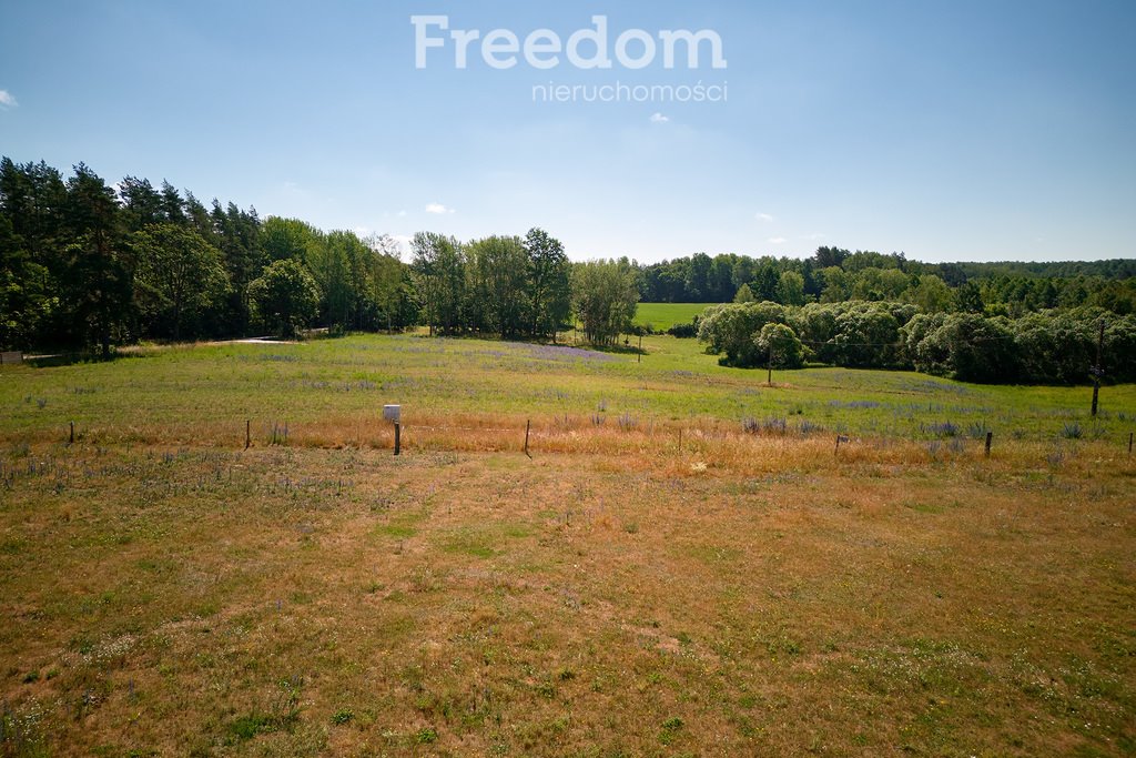 Działka inna na sprzedaż Krzywe  3 003m2 Foto 7