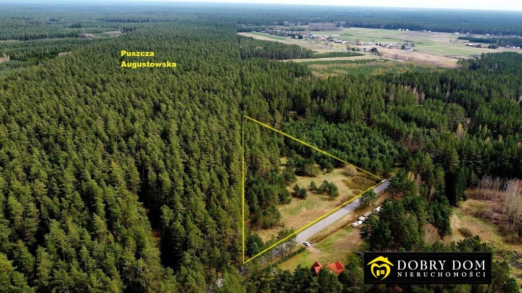Działka 9 100 m² w Serskim Lesie (las, turystyka) Serski Las  9 100m2 Foto 1