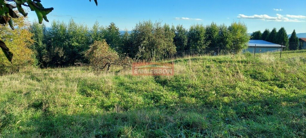 Działka budowlana na sprzedaż Łazany  1 100m2 Foto 3