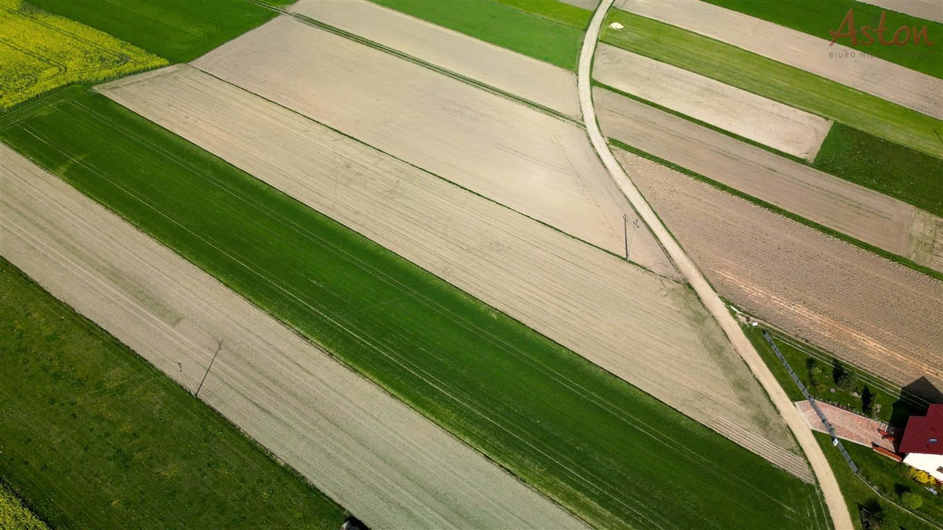 Działka budowlana na sprzedaż Międzyrzecze  6 540m2 Foto 4