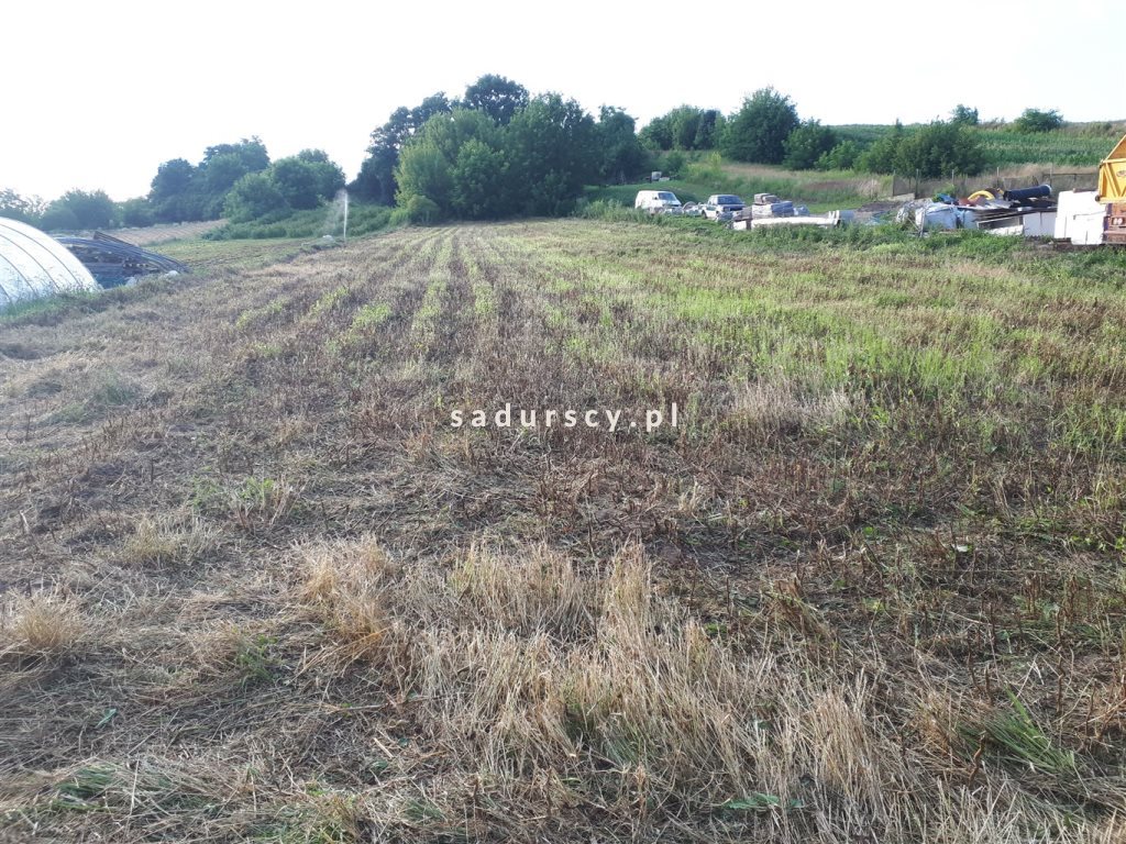 Działka budowlana na sprzedaż Dziekanowice, Długa 1 300m2 Foto 1 Działka budowlana na sprzedaż Dziekanowice, Długa 1 300m2 Foto 1