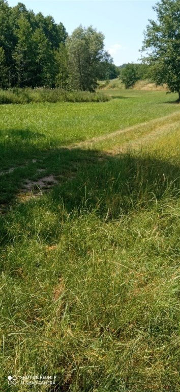 Działka 11,63 ara z dobrym dojazdem i mediami Wielopole Skrzyńskie  1 166m2 Foto 1