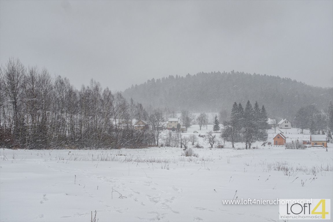 Działka 39 ha z widokami i lasem w Bieszczadach Ropienka Dolna  39 147m2 Foto 1