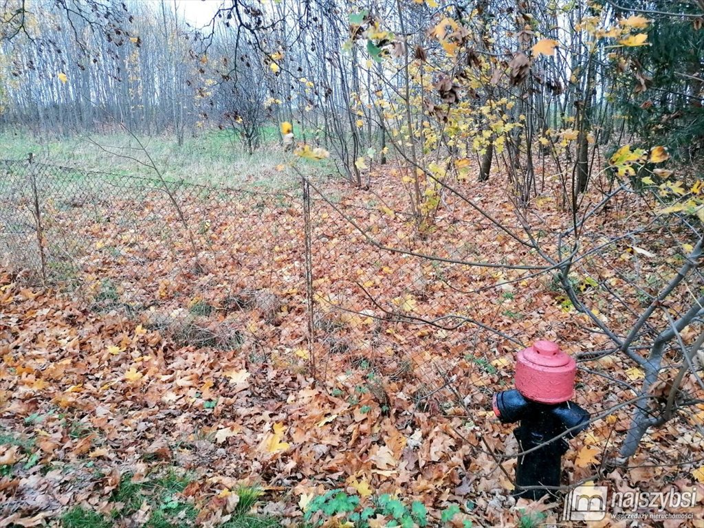 Działka rolna na sprzedaż Brojce, obrzeża  4 100m2 Foto 6