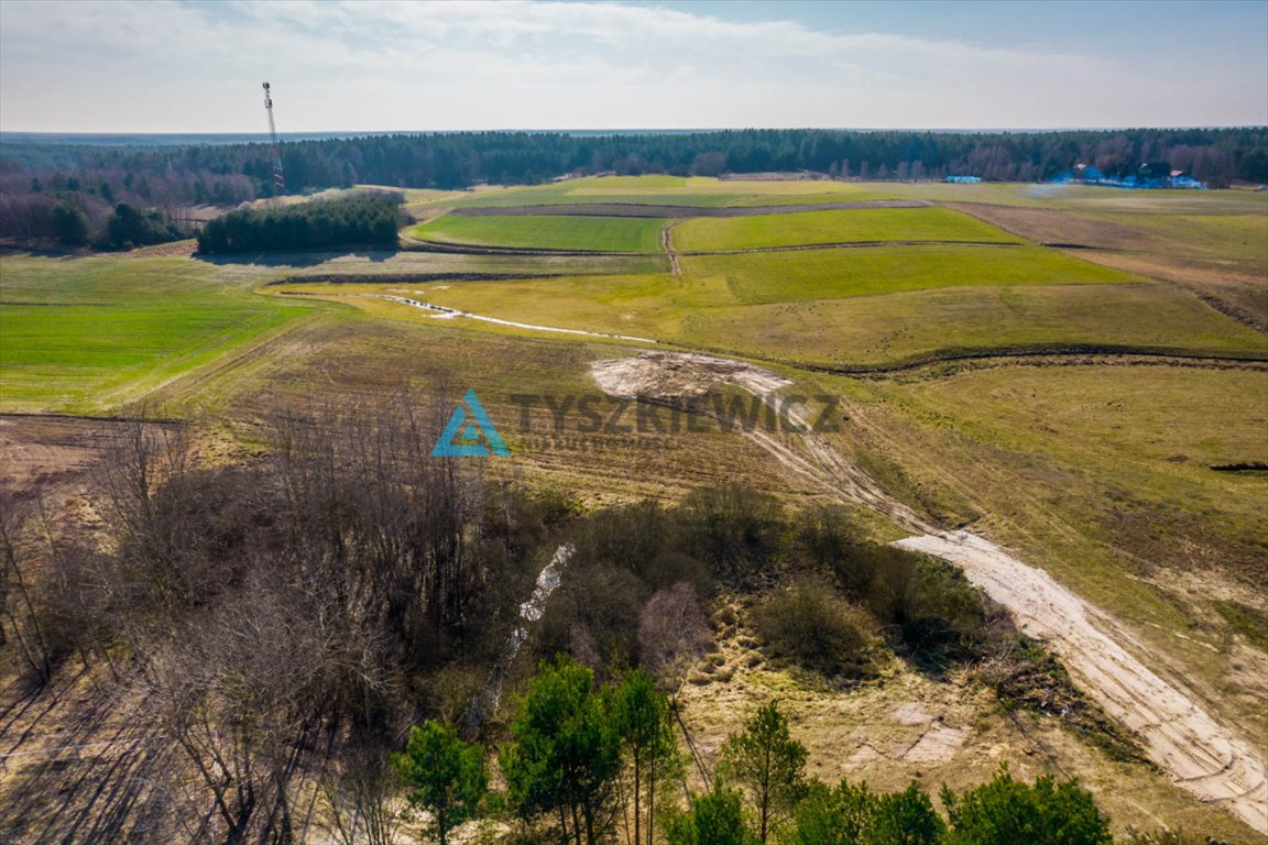 Działka rolna na sprzedaż Kurcze  6 548m2 Foto 8
