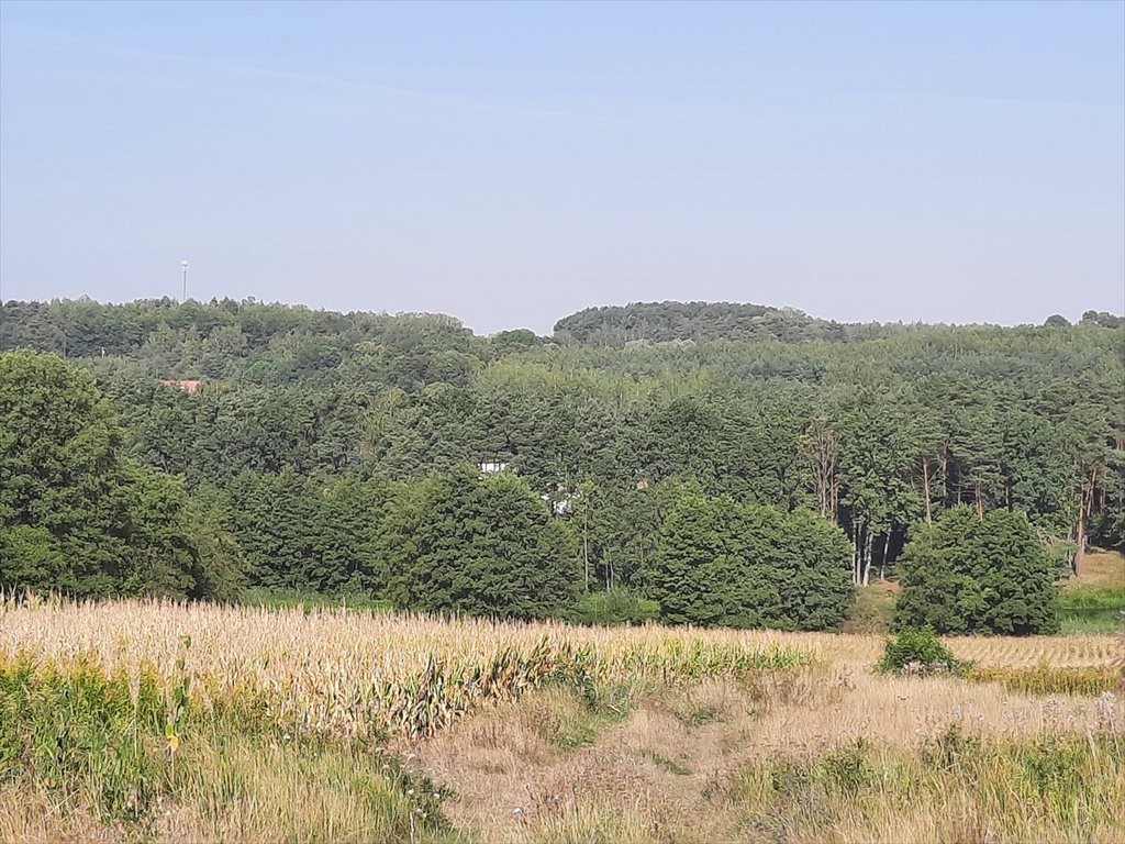 Działka budowlana na sprzedaż Krobia  1 506m2 Foto 7