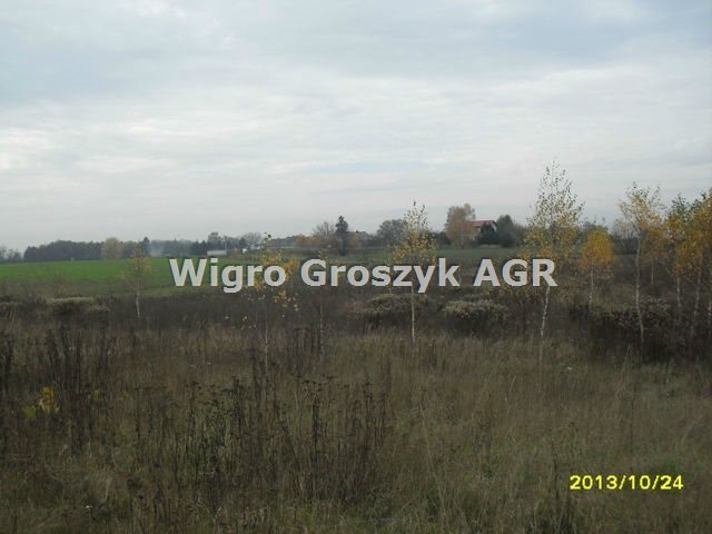 Działka pod zabudowę siedliskową 3,2 ha, media w ulicy Złotopolice  3 230m2 Foto 1