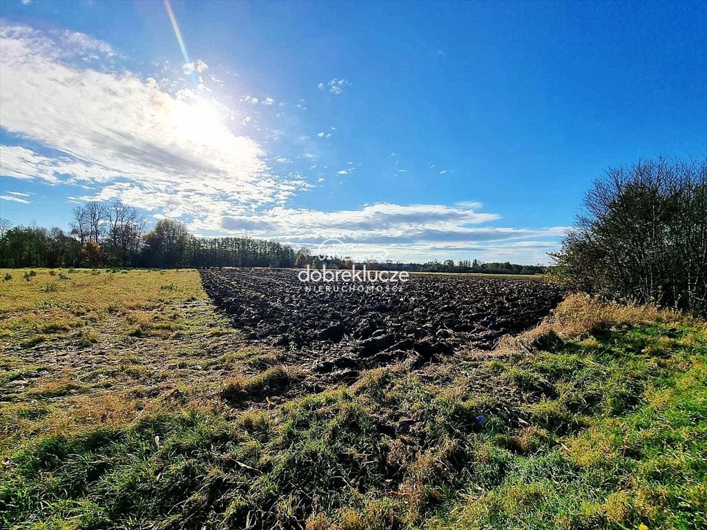 Działka rolna na sprzedaż Palikówka  420m2 Foto 2