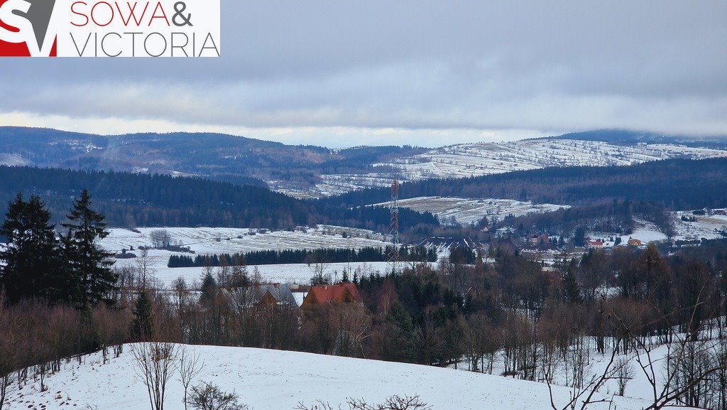 Działka inna na sprzedaż Bartnica  3 009m2 Foto 2