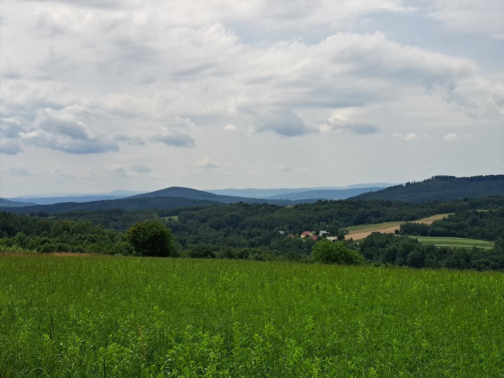 Działka rolna na sprzedaż Niebocko  2 860m2 Foto 4