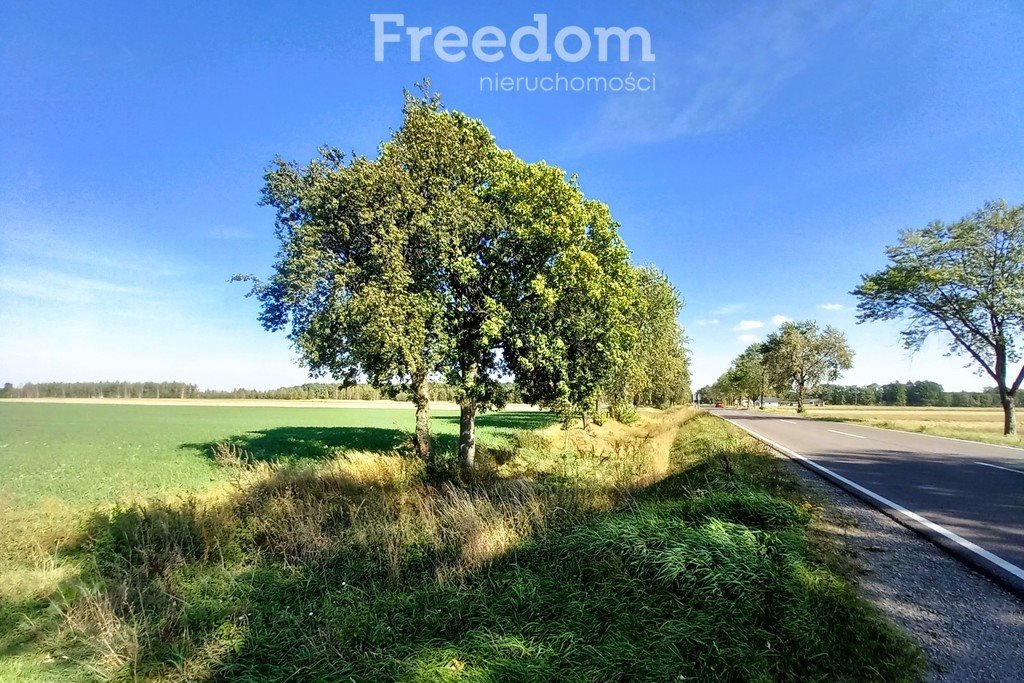 Działka przemysłowo-handlowa na sprzedaż Radzyń Podlaski, Wisznicka  15 532m2 Foto 1