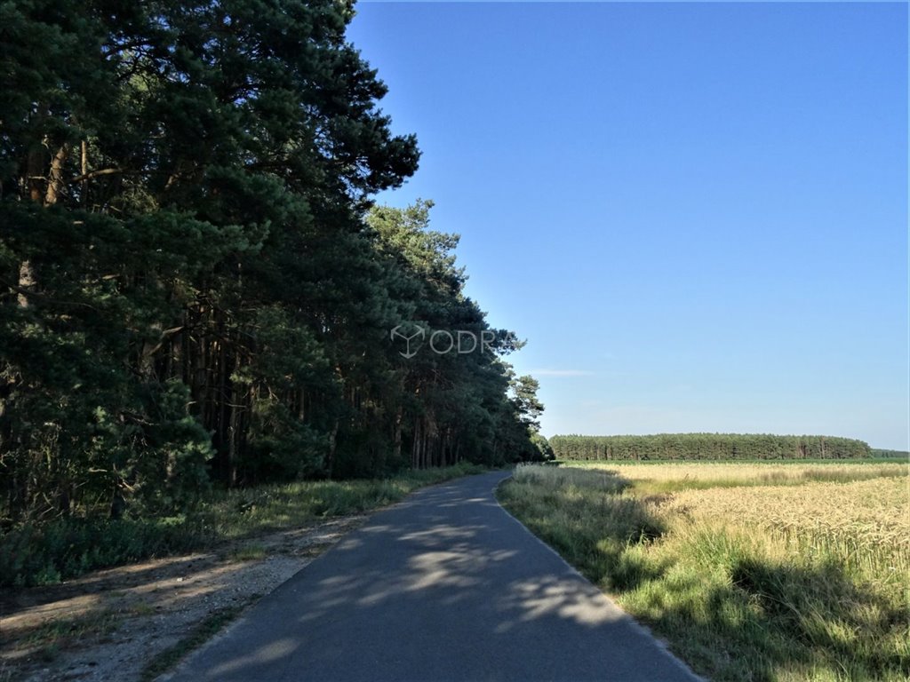 Działka 2,1 ha z MPZP, blisko lasu, inwestycje Chwałowice  21 156m2 Foto 1