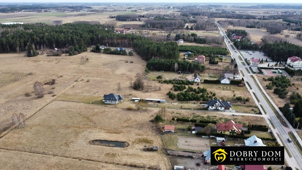 Działka budowlana na sprzedaż Lewickie  1 000m2 Foto 5