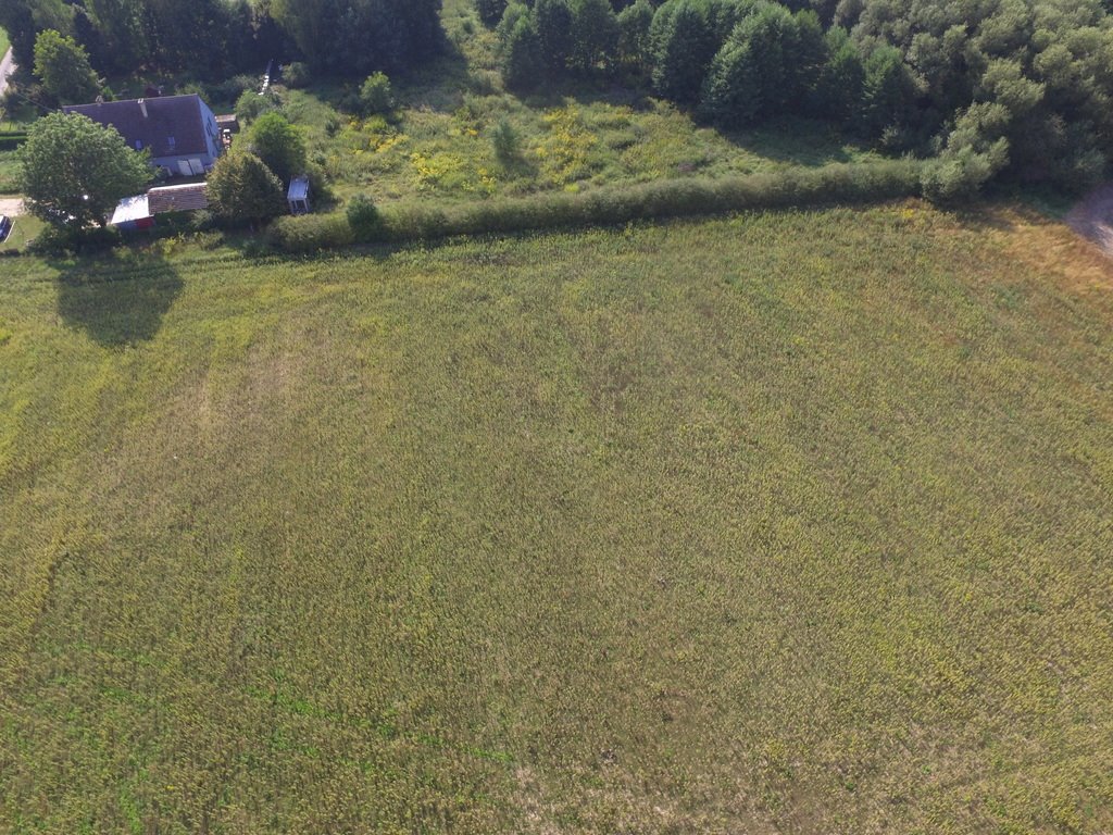 Działka budowlana na sprzedaż Dobra  1 100m2 Foto 2