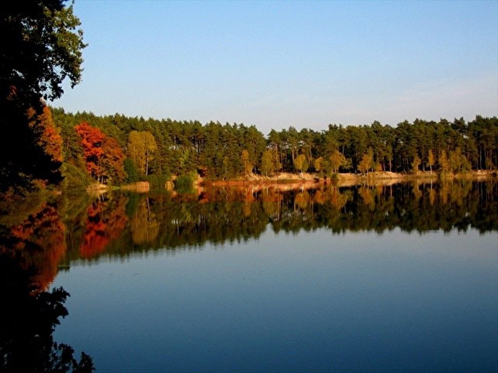 Działka 21,3 arów z warunkami zabudowy pod domy jednorodzinne Marszałki  2 130m2 Foto 1