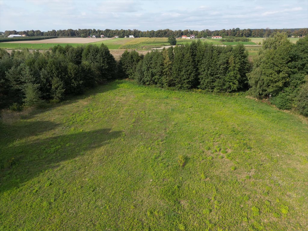 Działka budowlana na sprzedaż Nowe Paski  3 002m2 Foto 7