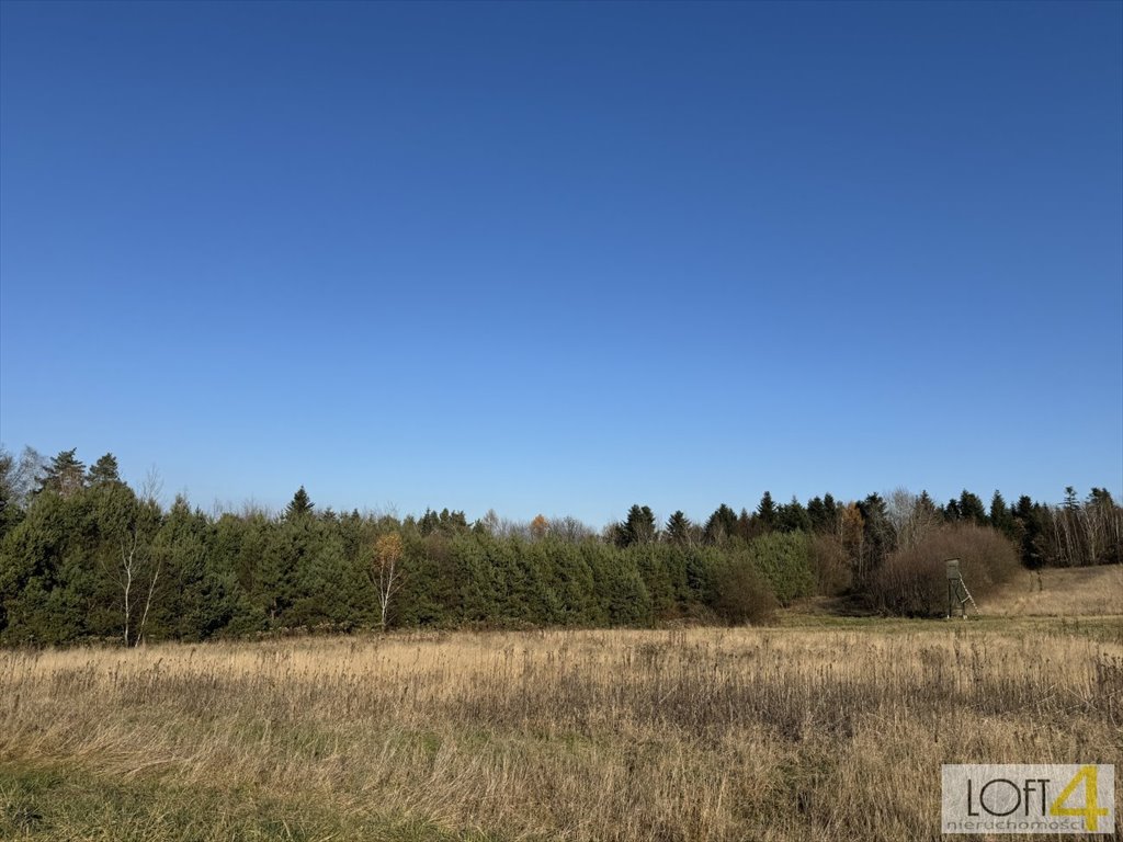 Działka budowlana na sprzedaż Polichty  3 000m2 Foto 5