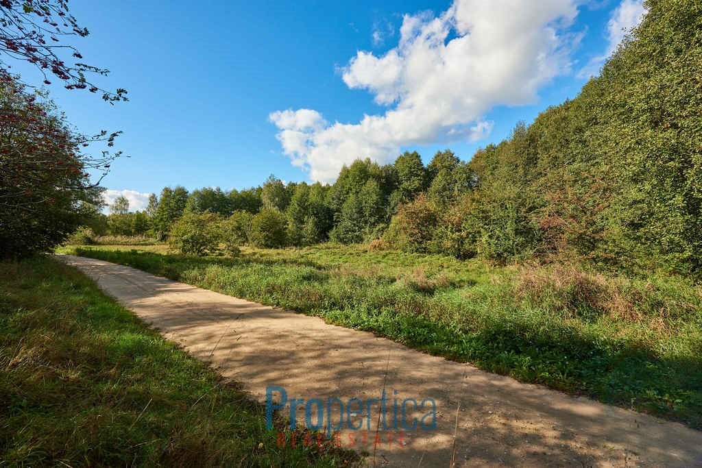 Działka inna na sprzedaż Grom  8 761m2 Foto 3