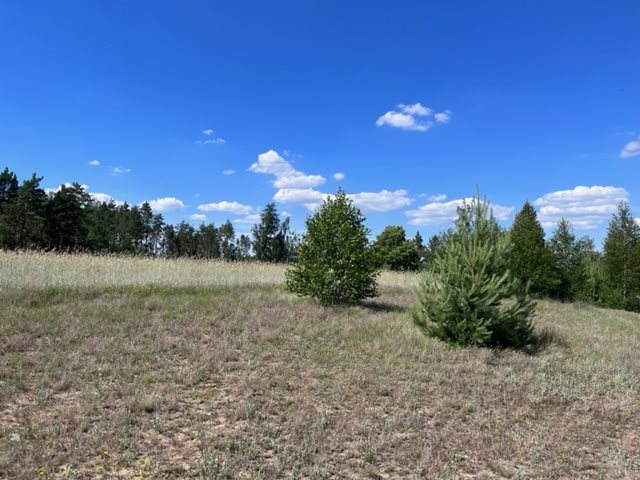 Działka budowlana na sprzedaż Nadolna Karczma  1 292m2 Foto 1