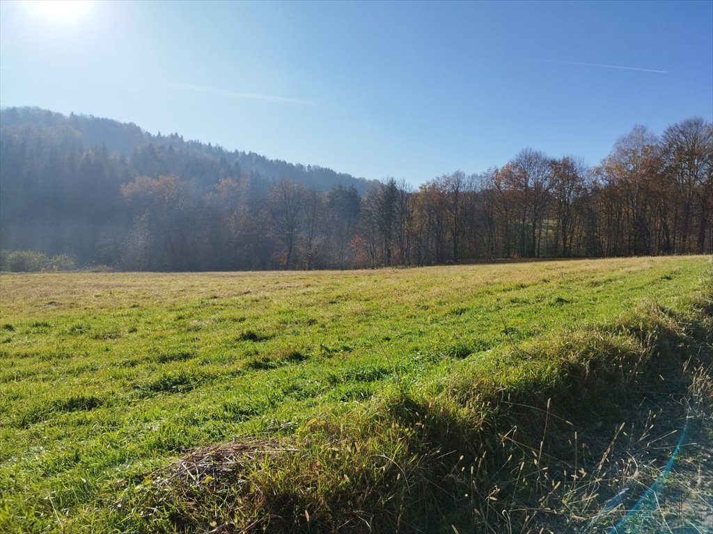 Działka budowlana na sprzedaż Kobylec  1 527m2 Foto 7