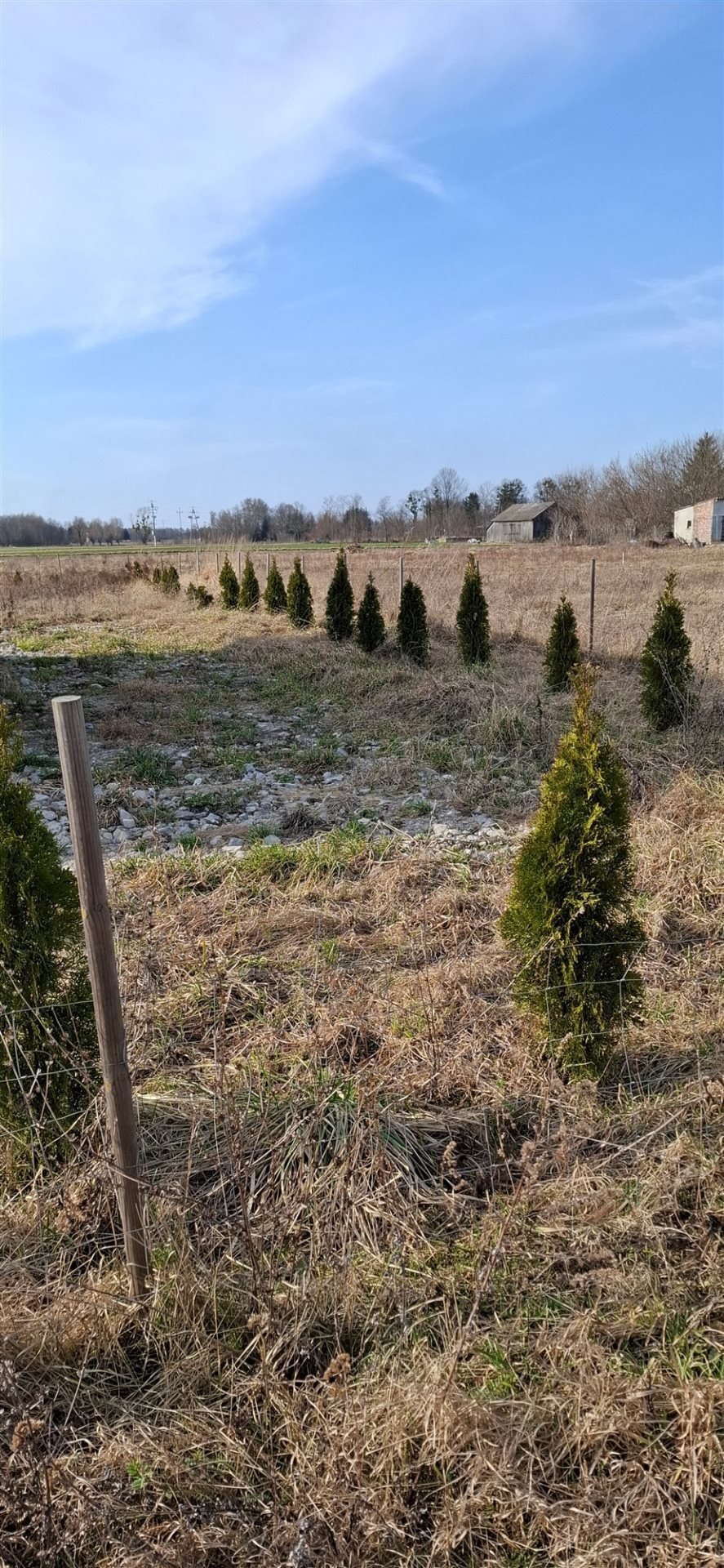 Urokliwy domek 35 m2 z działką 1000 m2 w Kampinos Stare Gnatowice  35m2 Foto 1