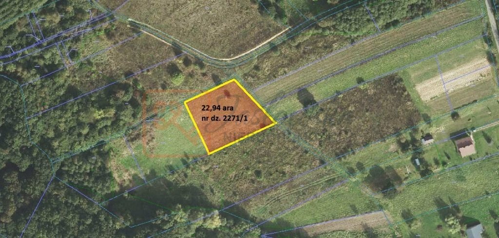Działka budowlana na sprzedaż Borek Stary  2 294m2 Foto 1