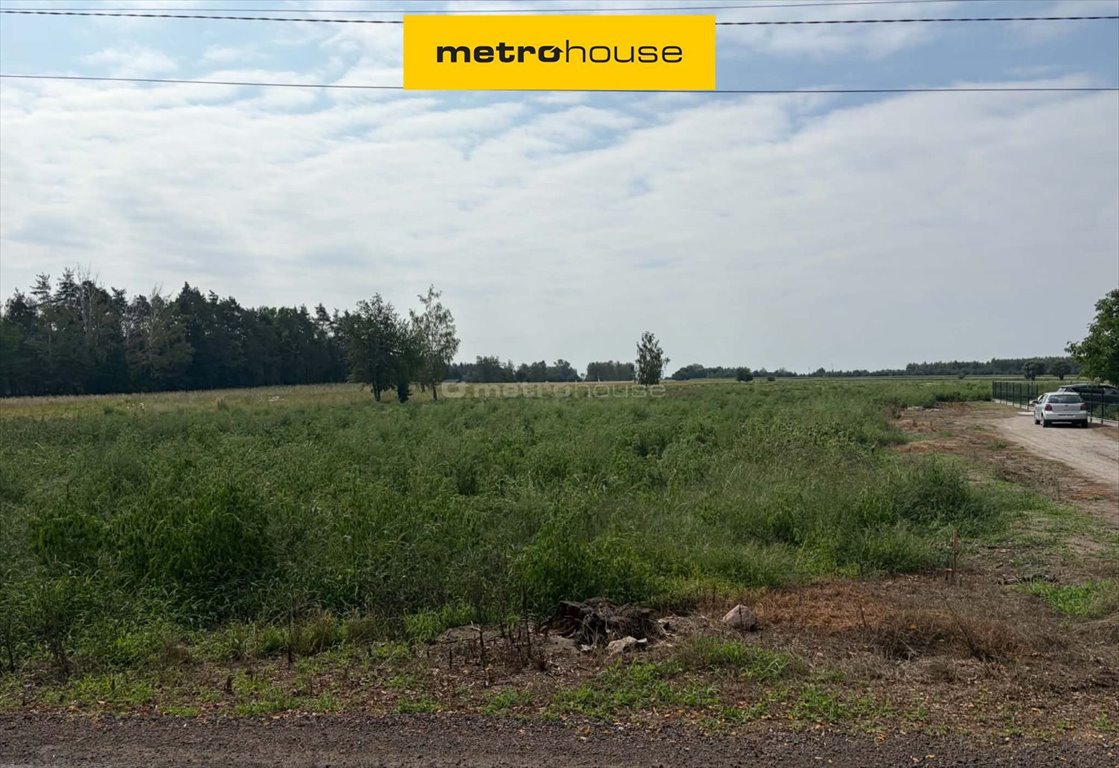 Na sprzedaż działka 1252 m² w Budy Trzcińskie z warunkami zabudowy Budy Trzcińskie  1 252m2 Foto 1