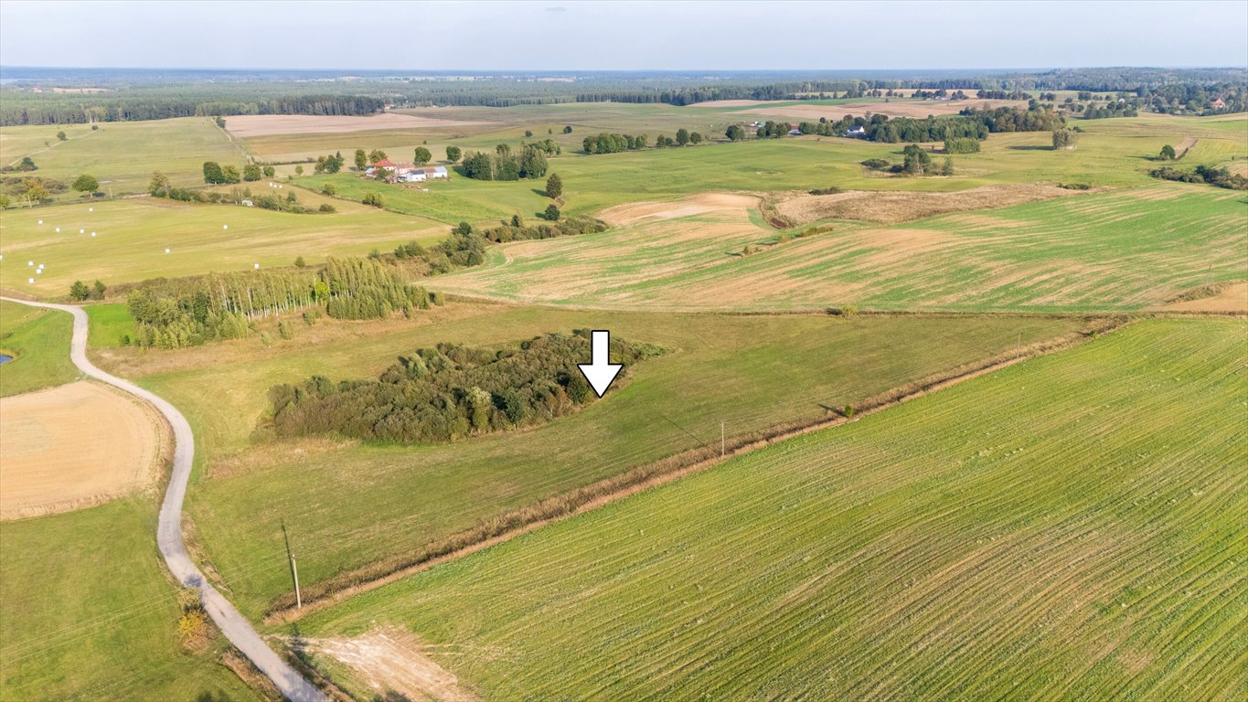 Działka rolna na sprzedaż Olszewki  13 200m2 Foto 10