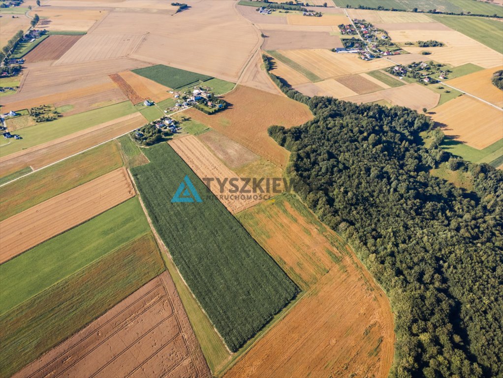 Działka rolna na sprzedaż Lisewo, Leśna  3 090m2 Foto 7