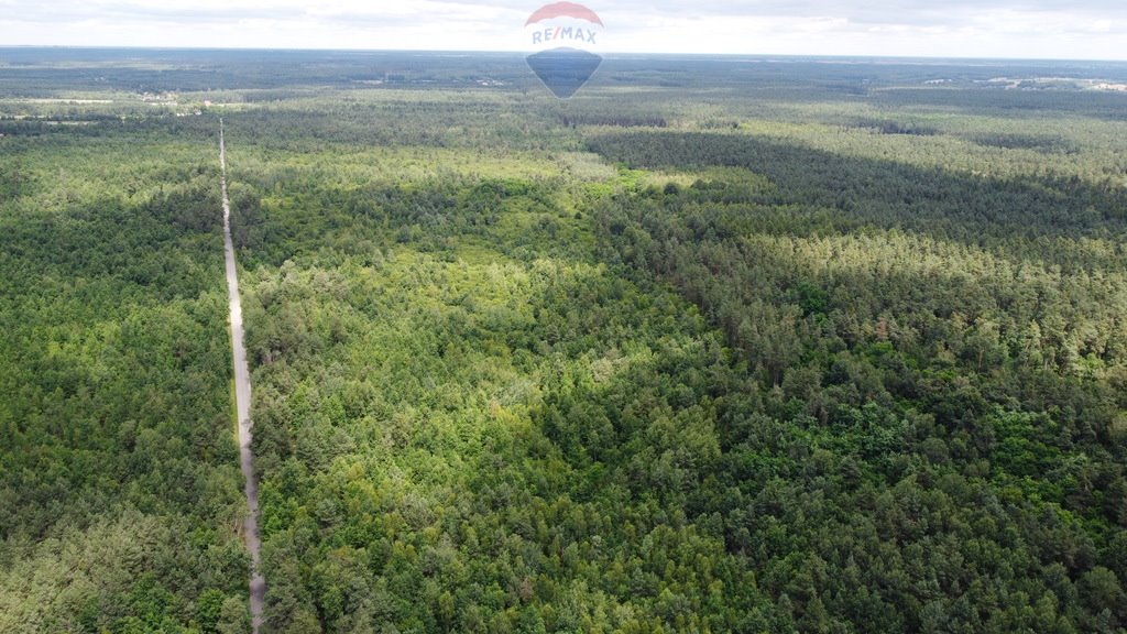 Działka budowlana na sprzedaż Ostrowiec Świętokrzyski, Las Rzeczki  1 535m2 Foto 5